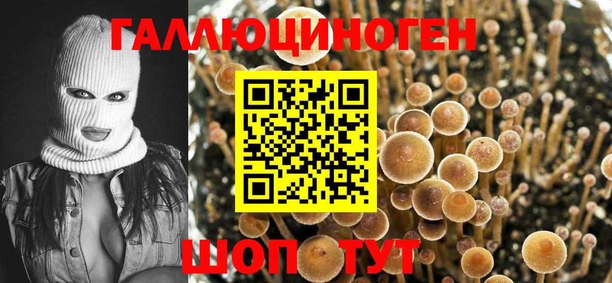 Ликино-Дулёво  Галлюциногенные грибы мицелий  Псилоцибиновые грибы MAGIC MUSHROOMS  купить закладку  Вход с VPN 
